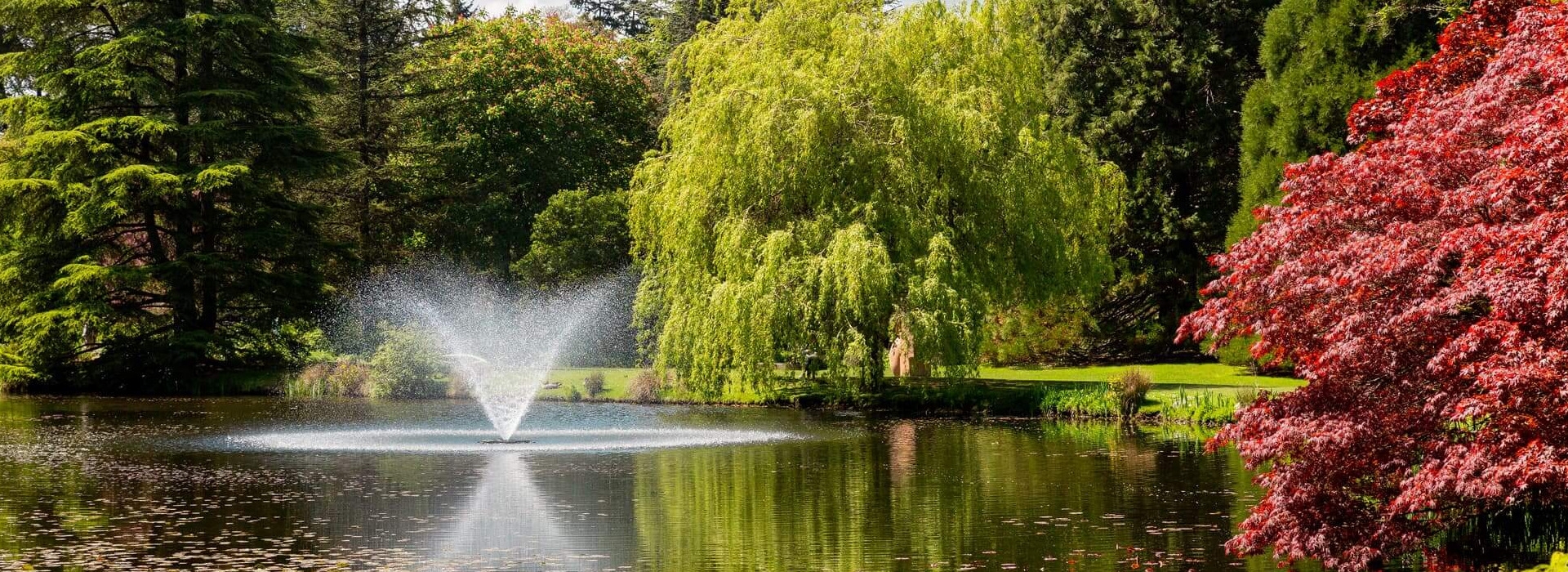 Water fountain in the middle of a pond in a lush park